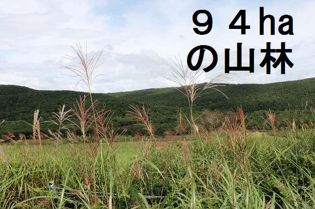 90099画像